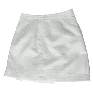 Worthington Womens Petites A Line Pleated Skirt 14P Lined White Back Zip